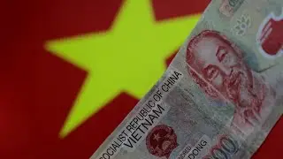 🚨BREAKING NEWS:  Vietnam Passed New RV Law for the DONG!!