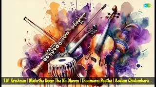 T.N. Krishnan | Nadirtha Deem Tha Na Dheem | Thaamarai Pootha | Aadum Chidambaram