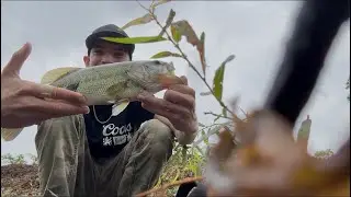 Slow day micro fishing