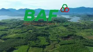 Tung c&aacute;nh c&ugrave;ng BAF