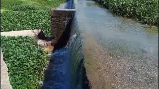 Rio Salgado em Lavras da Mangabeira hoje 28/01/2026 Cear&aacute; 