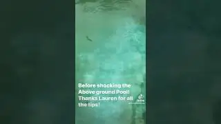 Above Ground Pool Cleaning Tips