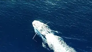 Drone Looking down on Fishing Boat - Royalty Free Stock HD Video Footage