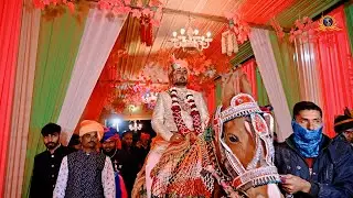 Royal Rajput #wedding #highlight 2023 || Adv Himanshu Banna & Raju Baisa || Sirohi Wedding ||