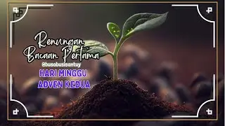 RENUNGAN BACAAN PERTAMA HARI MINGGU ADVEN II (U), TAHUN C, KITAB YESAYA 11:1-10