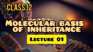 Class 12 Molecular basis of inheritance in oneshot #CBSE