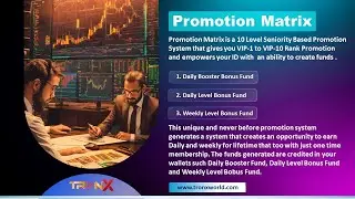 Rank Promotion Matrix in TronX
