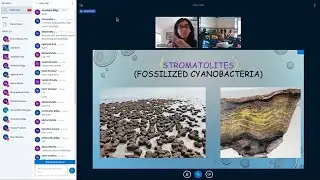 Live Class Clip - Science - Microorganisms - 12-14 Years - Open & Free Courses