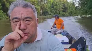 Peb noj mov hav zoov qab kawg  nyob guyane fab ki av me 