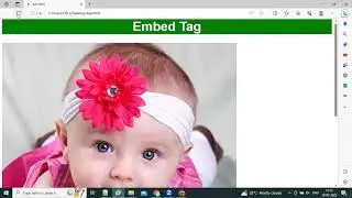How to use embed tag in HTML