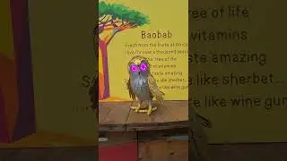 Bubo possing for the public at The Eden Project