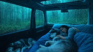 Heavy Rain Sounds for Deep Sleep 🌧️ Cozy Night, Anxiety Relief & Insomnia Help