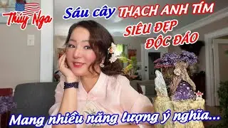 Sáu cây Thạch Anh Tím siêu đẹp, độc đáo mang nhiều năng lượng ý nghĩa..