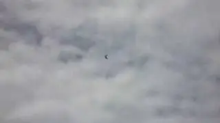 adrenaline-flight