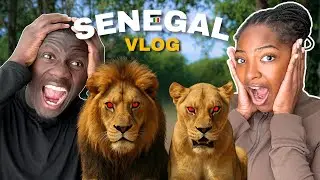 A Trip to Senegal We&rsquo;ll Never Forget 🇸🇳 | Family, Culture & Lions 🦁