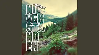 Nie Verstanden