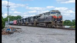 NS 8101 