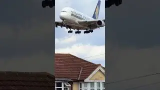 Singapore A380 so low you can almost touch it! #a380 #planespotting #aviation