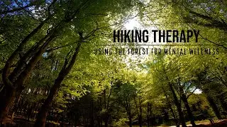 Hiking Therapy - How to use the forest for mental wellness