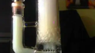 stem8  bottom stemline close-up