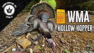 HOT TURKEY CROSSES HOLLOW TWICE / FINDING ONE in the RIGHT MOOD / WEST VIRGINIA WMA GOBBLER