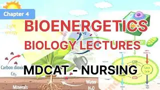 Bioenergetics lecture \ mdcat test preparation | nursing test | jpmc nursing mcqs | dow nursing test