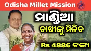 Millet Mission Odisha 2026 । How to check millet mandi token 2026 