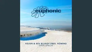 Open Spaces (DJ Version)