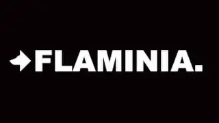 Flaminia - сантехника из Италии (унитазы, раковины, смесители и ванны) (www.santehimport.com)