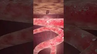 Как кусаются комары? 🦟🦟 | 3D-анимация 🔥🔥 #факты #наука