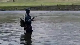 Fly fishing tips for the Missouri River