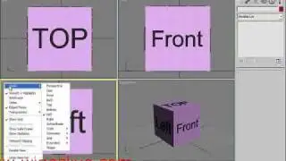 Viewports in 3dsMax9 - wingslive.com - 3dsMax Tutorials