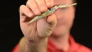 The Berkley Flicker Minnow: The Fishing Lure You Need