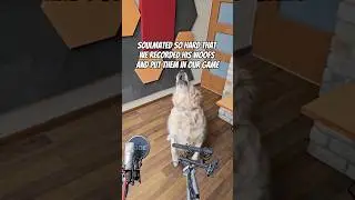 The good boy you are, Shogun! #animalshelter #animalshelter2 #dog #voiceactor #simgames