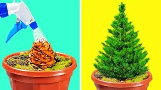 28 KIAT BERGUNA UNTUK MEMBUAT TAMAN SENDIRI