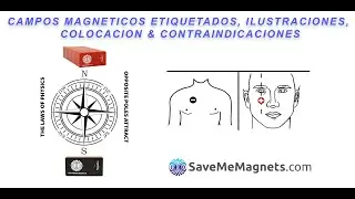 [4/6] Acerca de Campos magn&eacute;ticos etiquetados, ilustraciones y contraindications, SaveMeMagnets
