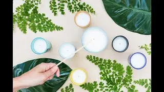 Ava&May candele vegetali profumate - Codice Sconto in descrizione