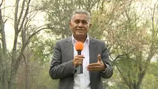 comentario editorial