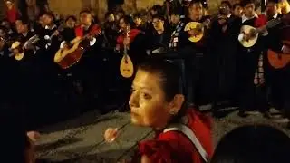 Clavelitos. Pasacalles del 10 de mayo 2024. Varias tunas