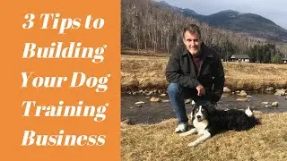 How To Make More Money as a Dog Trainer