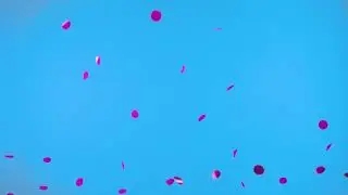 Round Pink Confetti Floating in Air on Blue Screen Chroma Key Background