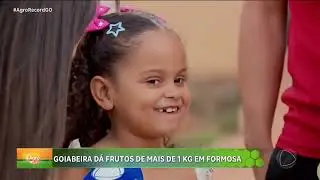 Agro Record - 23/11/2025 - Programa Completo
