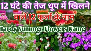 मई की तेज धूप में खिलने वाले फूलों के नाम, तो अभी खरीदें नर्सरी से इन १२ पौधों को जरूर