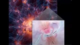 Looking for observational signatures of feedback from active galactic nuclei