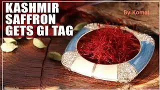 KASHMIR SAFFRON GI TAG #THEHINDU