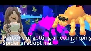 Part one of getting a neon jumping spider!