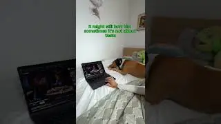 🐶 Maybe it&acute;s not FRIENDS that he hates