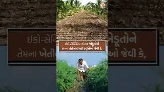 Eco Sensitive zone Gujarat #aapnugir #ecozon #ecosensetivzon #short #khedut  @aapnugir