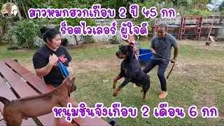 EP6 |หนุ่มชินจังไทยหลังอาน กับสาวหมกฮวกร็อตไวเลอร์ผู้ใจดี เจอกันแล้วจะเป็นอย่างไร?