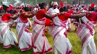Tribal adivasi dance and song #tribalfestival #dance